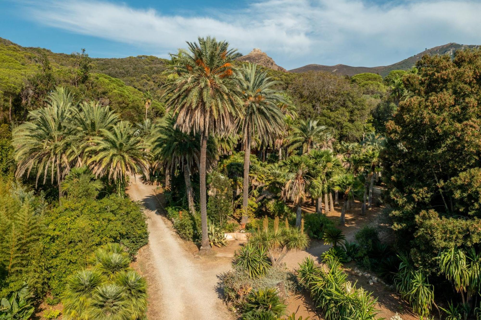 Camping Village Rosselba Le Palme Portoferraio Esterno foto