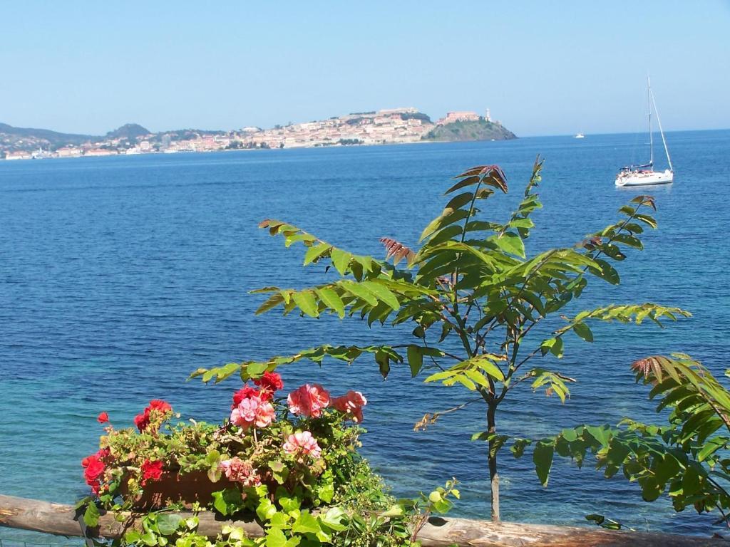 Camping Village Rosselba Le Palme Portoferraio Esterno foto
