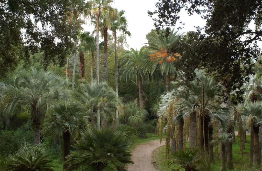 Camping Village Rosselba Le Palme Portoferraio Esterno foto